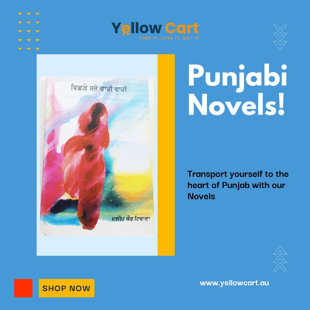 Buy Punjabi Novel